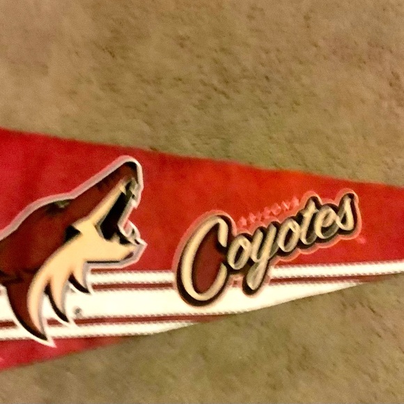 Arizona Coyotes Ultimate Fan Package ! Clear Stadium Bag, Water Bottle, Look 👀 - Picture 4 of 5